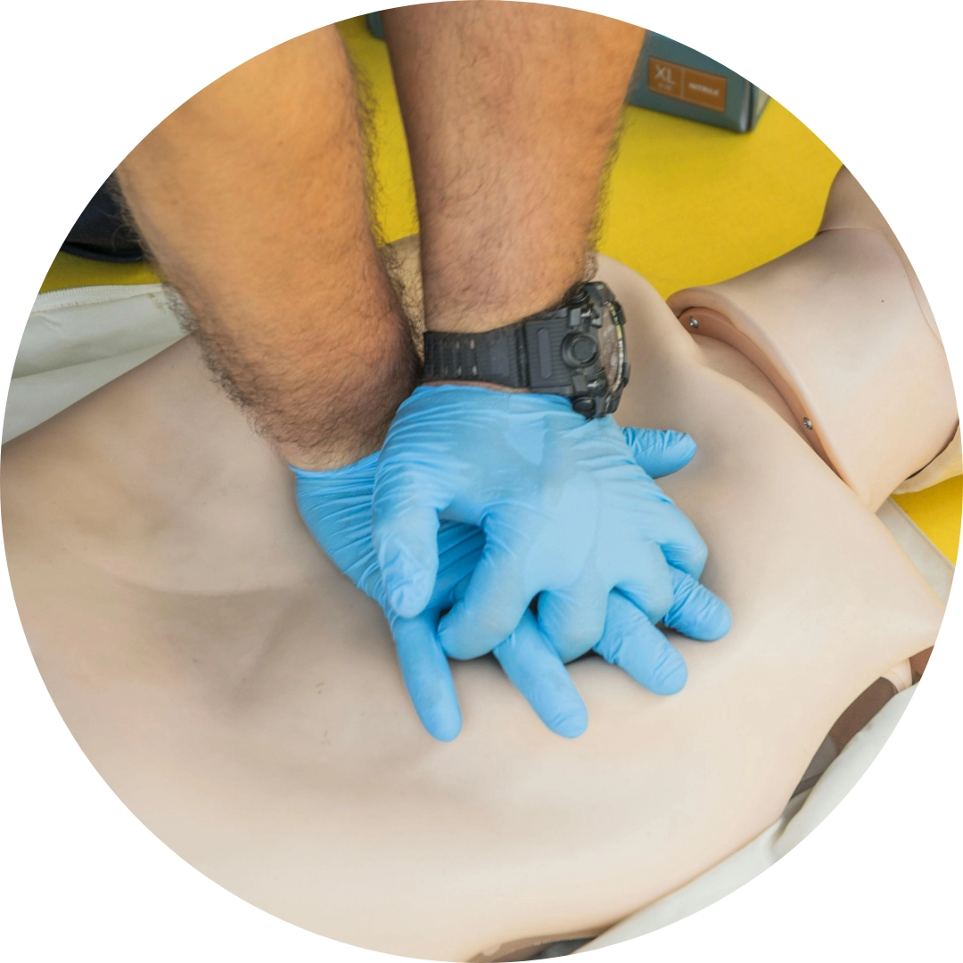 Reanimation Erwachsene